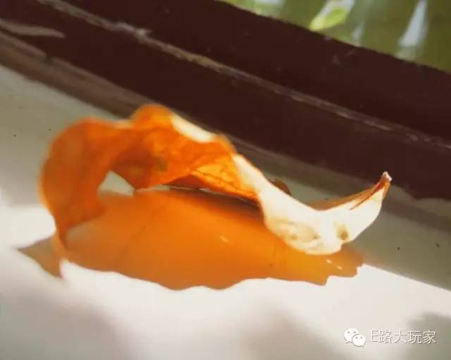 手機(jī)攝影俱樂部“金秋旅行手機(jī)攝影賽”獲獎(jiǎng)名單出爐