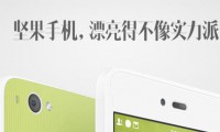 堅(jiān)果手機(jī)能拯救錘子和羅永浩嗎？