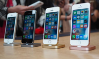 Android要滅門？這才是蘋果推iPhone SE真相