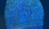 義隆電子的觸控IC和指紋識別產(chǎn)品迎來強(qiáng)勁增長