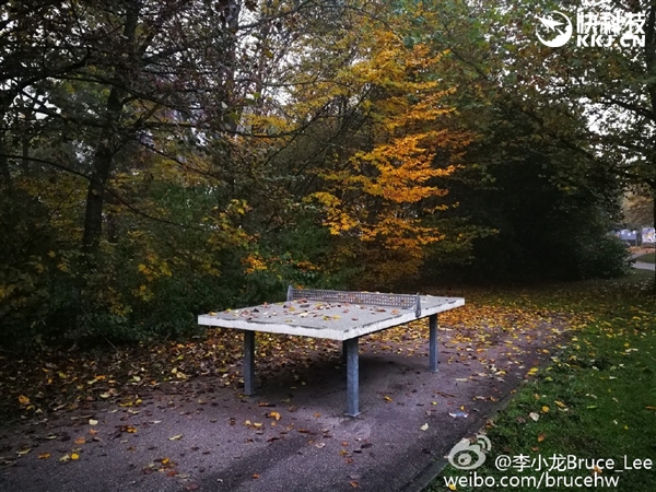 徠卡雙攝逆天！華為Mate 9實(shí)拍樣張首曝：給力