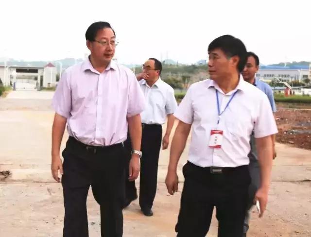 總投資20億元彩虹邵陽特種玻璃項(xiàng)目開工，將建4條蓋板玻璃生產(chǎn)線