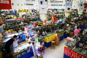 元器件貿易商烽煙滾滾 線上渠道小批量化考量平臺綜合實力