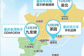 國際手機產業(yè)考察團挺近西部——邀您指導