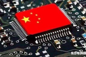 中央政府采購支持國產(chǎn)芯片： 龍芯、申威等入列政府采購名錄