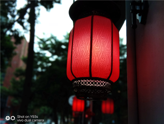 vivo Y93s拍照實(shí)測(cè)：AI加持，高顏值千元拍照利器