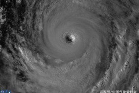 受臺風(fēng)“海貝思”影響 日本多家公司暫停工廠生產(chǎn)