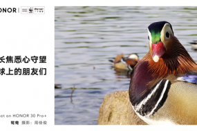 榮耀30系列打造系統(tǒng)級影像能力，聯(lián)合世界自然基金會用鏡頭守望地球生靈