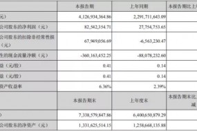 同興達上半年業(yè)績亮眼，扣非凈利潤同比大增1135%