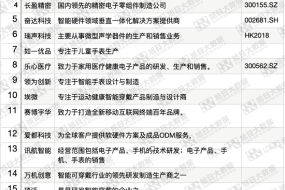 全球智能手表ODM/OEM公司25強